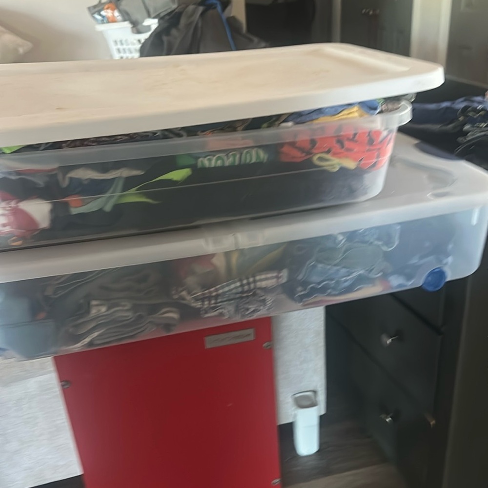 Clear Storage Bins with Lids